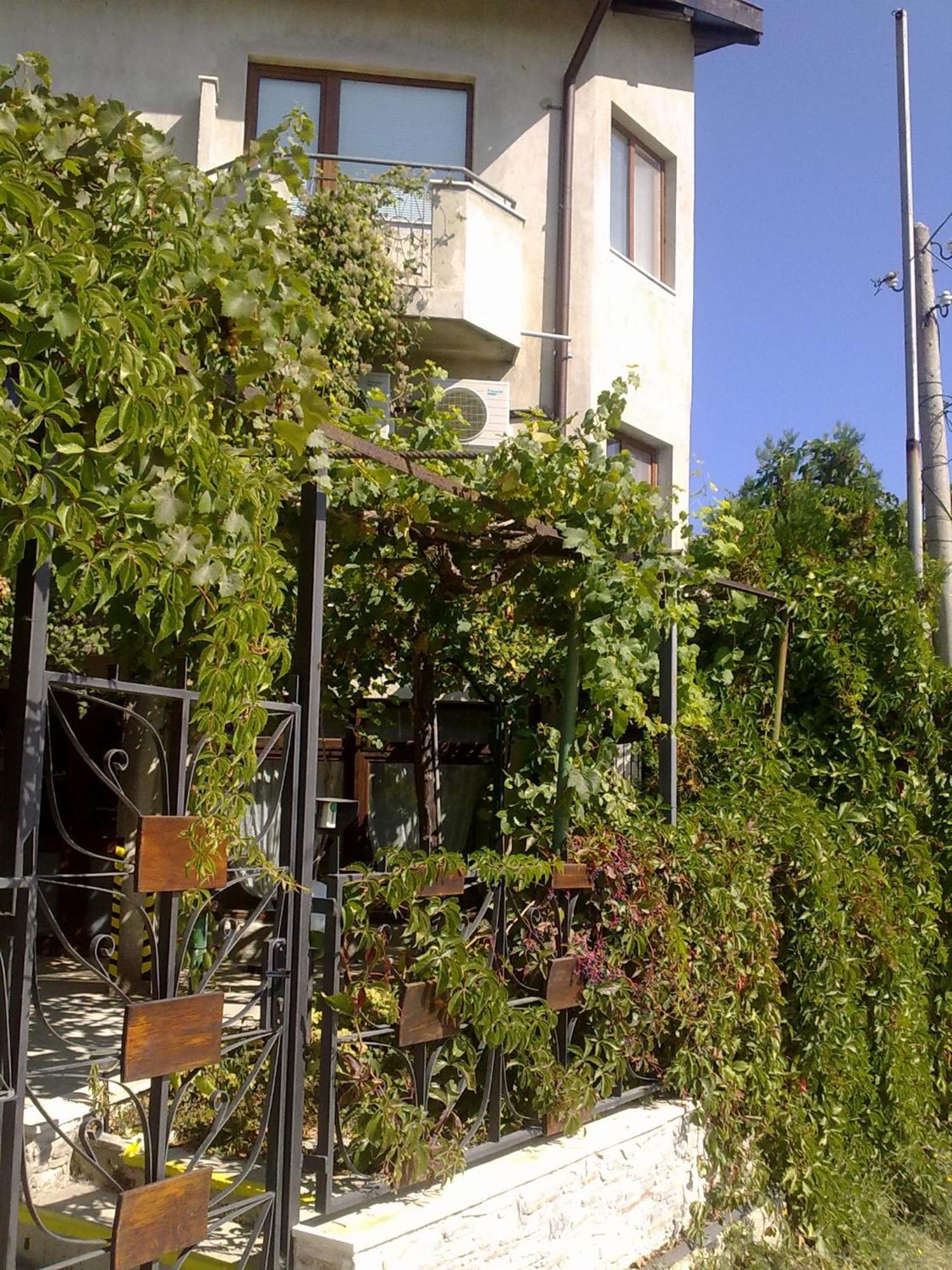 Villa Elfi غولدن ساندز المظهر الخارجي الصورة